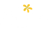 K'Services